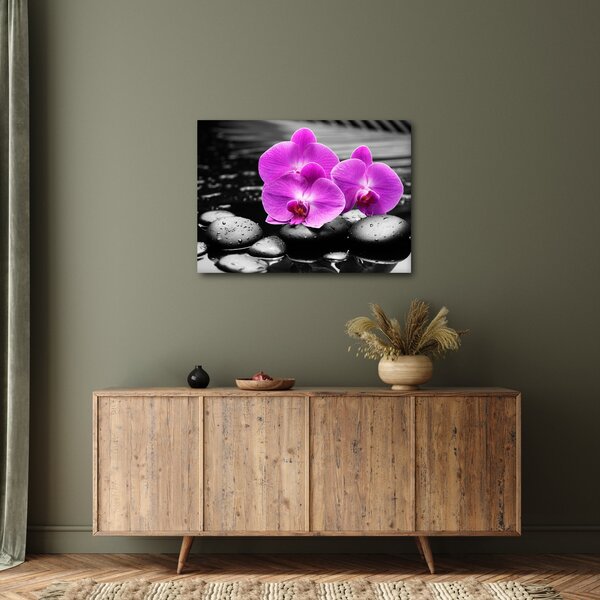 Obraz - Fioletowe orchidee (70x50 cm)