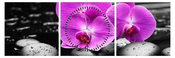 Obraz - Fioletowe orchidee (z zegarem) (90x30 cm)