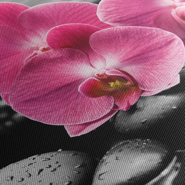 Obraz - Różowe orchidee (125x70 cm)