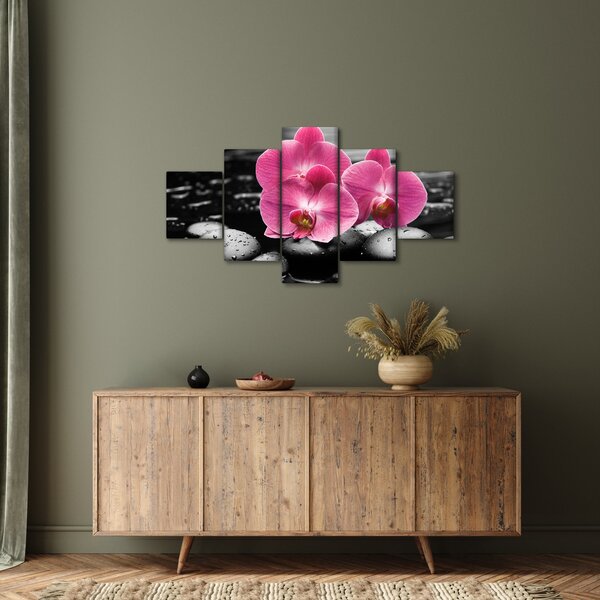 Obraz - Różowe orchidee (125x70 cm)