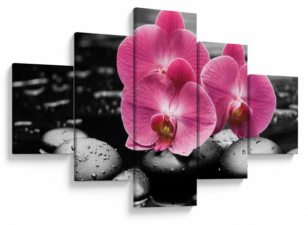 Obraz - Różowe orchidee (125x70 cm)