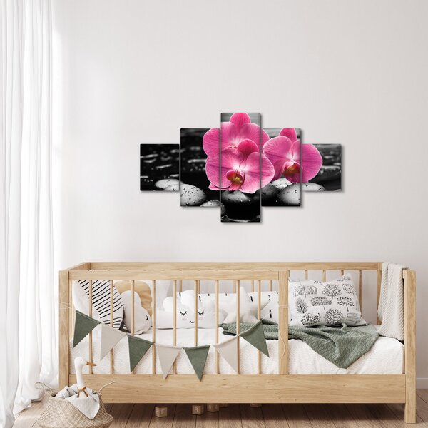 Obraz - Różowe orchidee (125x70 cm)