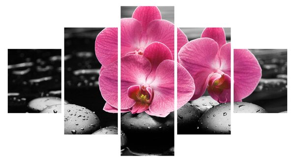 Obraz - Różowe orchidee (125x70 cm)