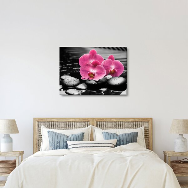 Obraz - Różowe orchidee (70x50 cm)
