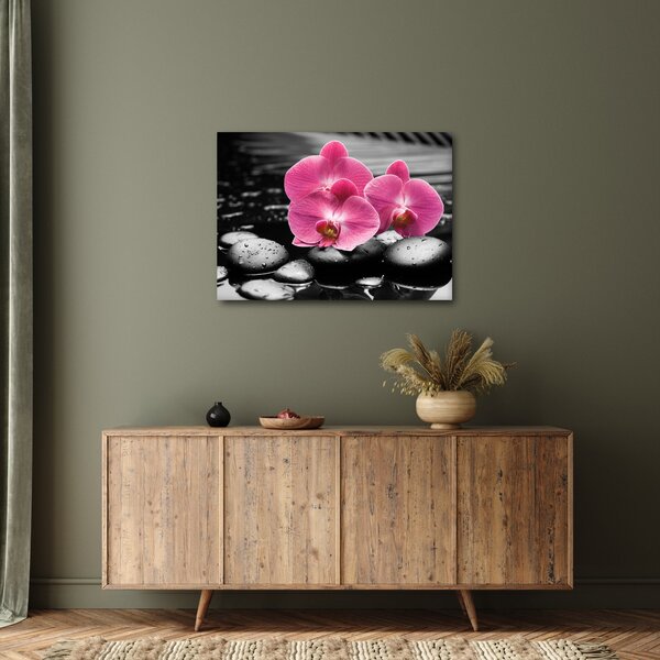 Obraz - Różowe orchidee (70x50 cm)