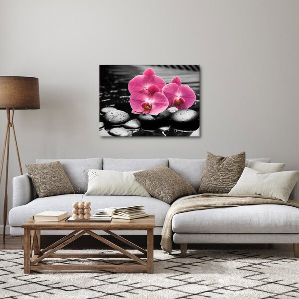 Obraz - Różowe orchidee (70x50 cm)