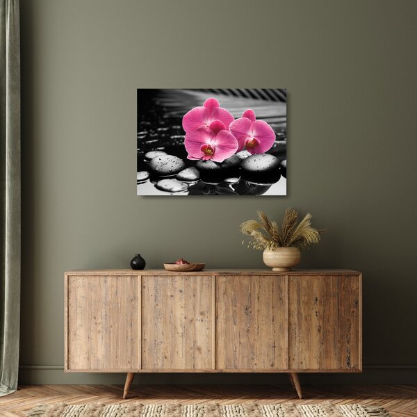 Obraz na szkle - Różowe orchidee (70x50 cm)