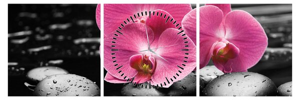 Obraz - Różowe orchidee (z zegarem) (90x30 cm)