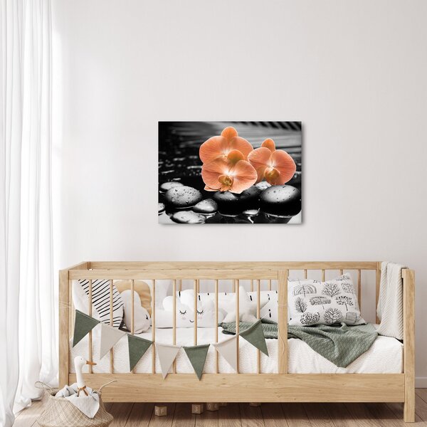 Obraz - Pomarańczowe orchidee (70x50 cm)