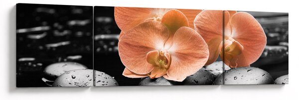 Obraz - Pomarańczowe orchidee (170x50 cm)