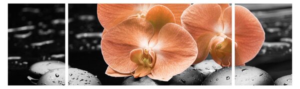 Obraz - Pomarańczowe orchidee (170x50 cm)