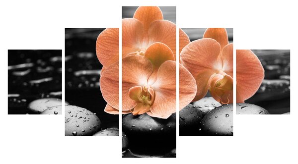 Obraz - Pomarańczowe orchidee (125x70 cm)