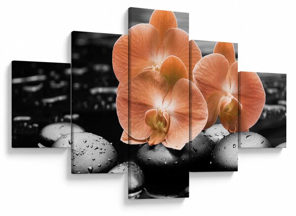Obraz - Pomarańczowe orchidee (125x70 cm)