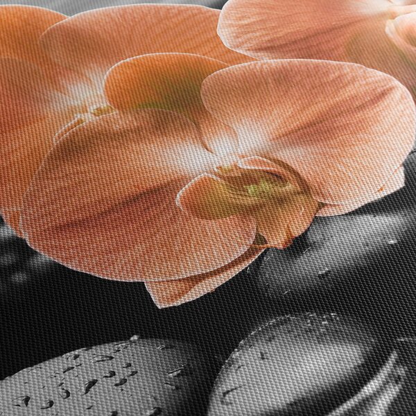 Obraz - Pomarańczowe orchidee (125x70 cm)