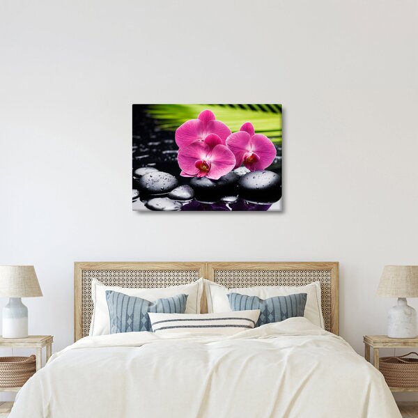 Obraz - Różowe orchidee z liściem palmy (70x50 cm)