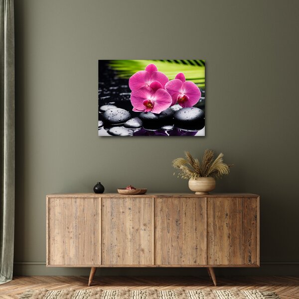 Obraz - Różowe orchidee z liściem palmy (70x50 cm)