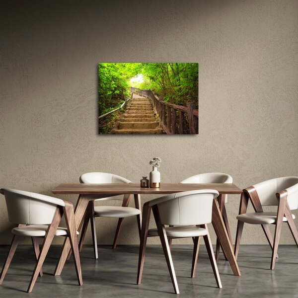 Obraz - Schody w przyrodzie (70x50 cm)