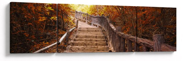 Obraz - Schody w naturze jesienią (170x50 cm)