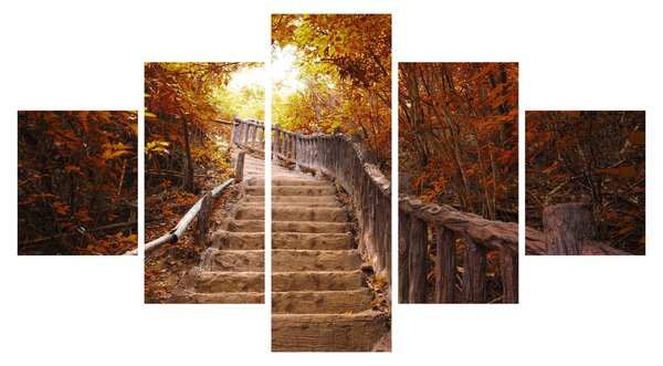 Obraz - Schody w naturze jesienią (125x70 cm)