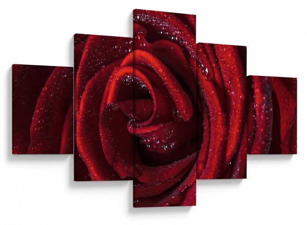 Obraz - Czerwona róża z kroplami rosy (125x70 cm)