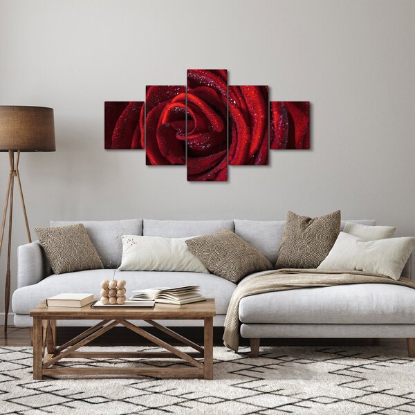 Obraz - Czerwona róża z kroplami rosy (125x70 cm)