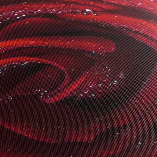 Obraz - Czerwona róża z kroplami rosy (125x70 cm)