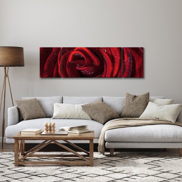 Obraz - Czerwona róża z kroplami rosy (170x50 cm)