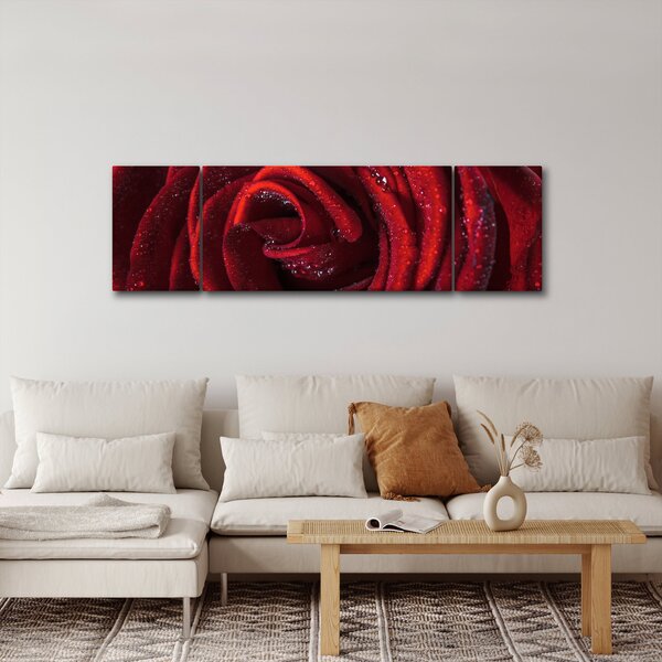 Obraz - Czerwona róża z kroplami rosy (170x50 cm)