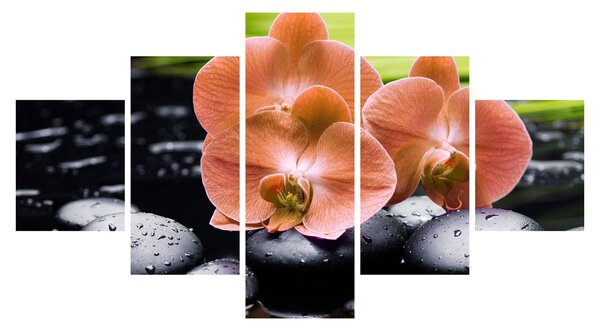 Obraz - Pomarańczowa orchidea z liśćmi palmy (125x70 cm)