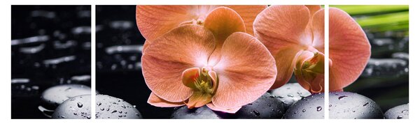 Obraz - Pomarańczowa orchidea z liśćmi palmy (170x50 cm)