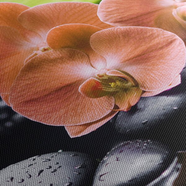 Obraz - Pomarańczowa orchidea z liśćmi palmy (125x70 cm)