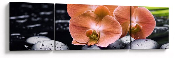Obraz - Pomarańczowa orchidea z liśćmi palmy (170x50 cm)