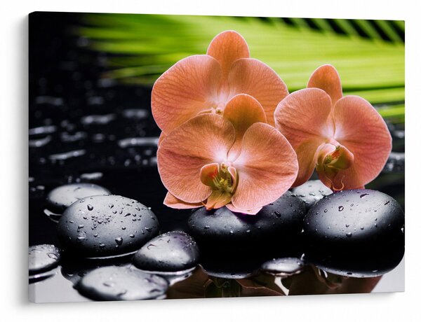Obraz - Pomarańczowa orchidea z liśćmi palmy (70x50 cm)