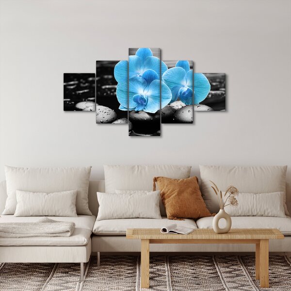 Obraz - Niebieska Orchidea (125x70 cm)