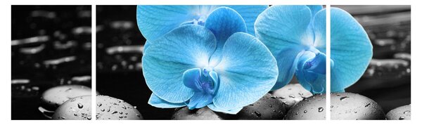 Obraz - Niebieska Orchidea (170x50 cm)