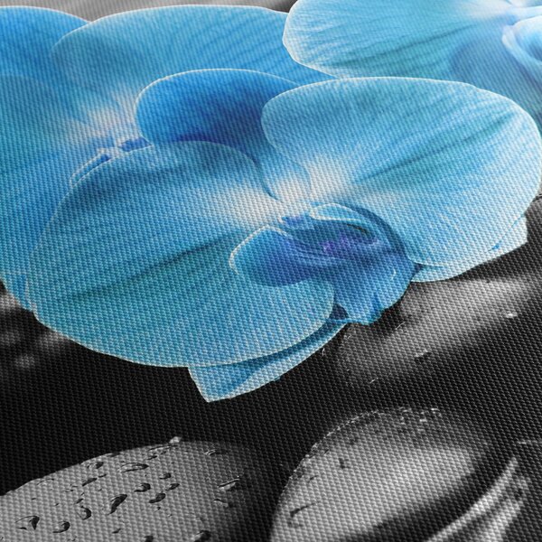 Obraz - Niebieska Orchidea (170x50 cm)