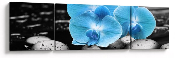 Obraz - Niebieska Orchidea (170x50 cm)