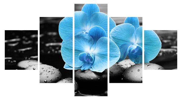Obraz - Niebieska Orchidea (125x70 cm)