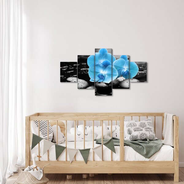 Obraz - Niebieska Orchidea (125x70 cm)