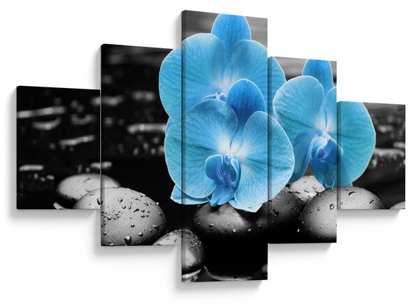 Obraz - Niebieska Orchidea (125x70 cm)