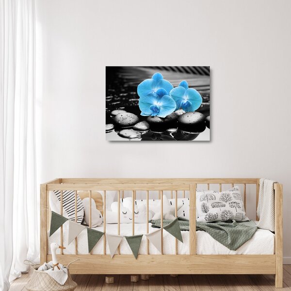Obraz na szkle - Niebieska Orchidea (70x50 cm)