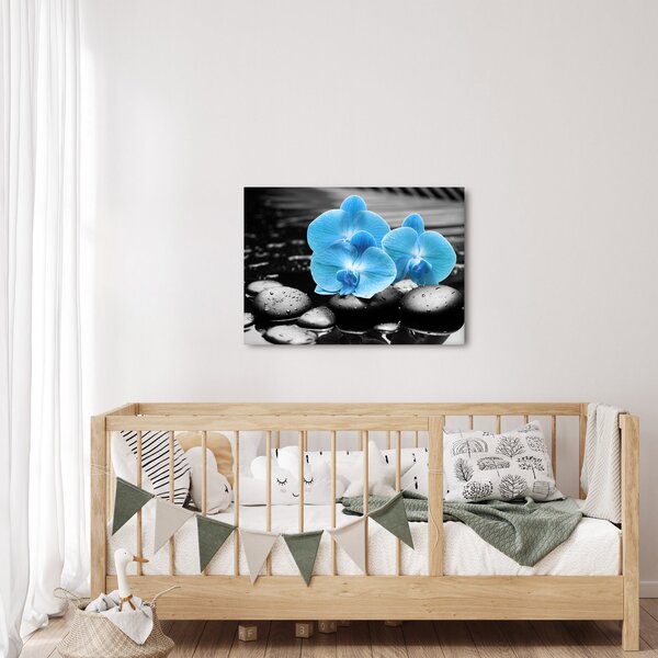 Obraz - Niebieska Orchidea (70x50 cm)
