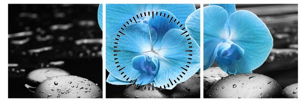 Obraz - Niebieska Orchidea (z zegarem) (90x30 cm)