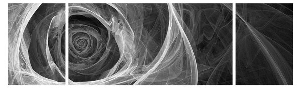 Obraz - Abstrakcyjna róża czarno-biała (170x50 cm)