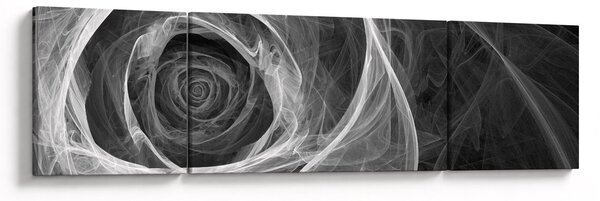 Obraz - Abstrakcyjna róża czarno-biała (170x50 cm)
