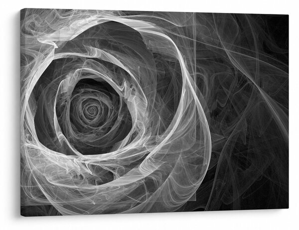 Obraz - Abstrakcyjna róża czarno-biała (70x50 cm)