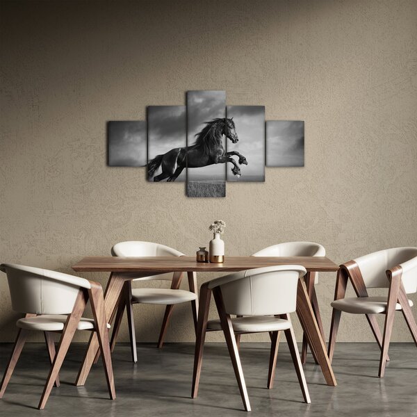 Obraz - Czarny i biały koń (125x70 cm)