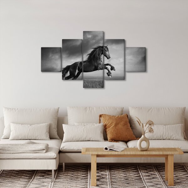Obraz - Czarny i biały koń (125x70 cm)