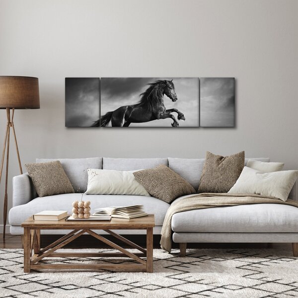 Obraz - Czarny i biały koń (170x50 cm)