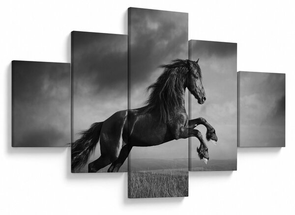 Obraz - Czarny i biały koń (125x70 cm)